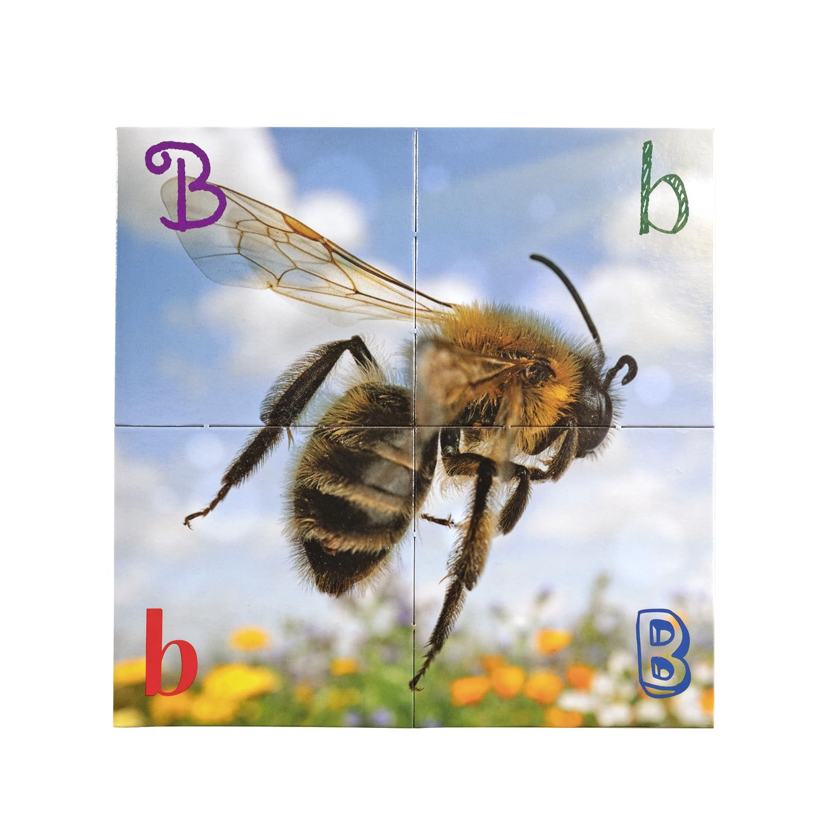 Really Good Stuff Alphabet Photo Puzzles - Image 4