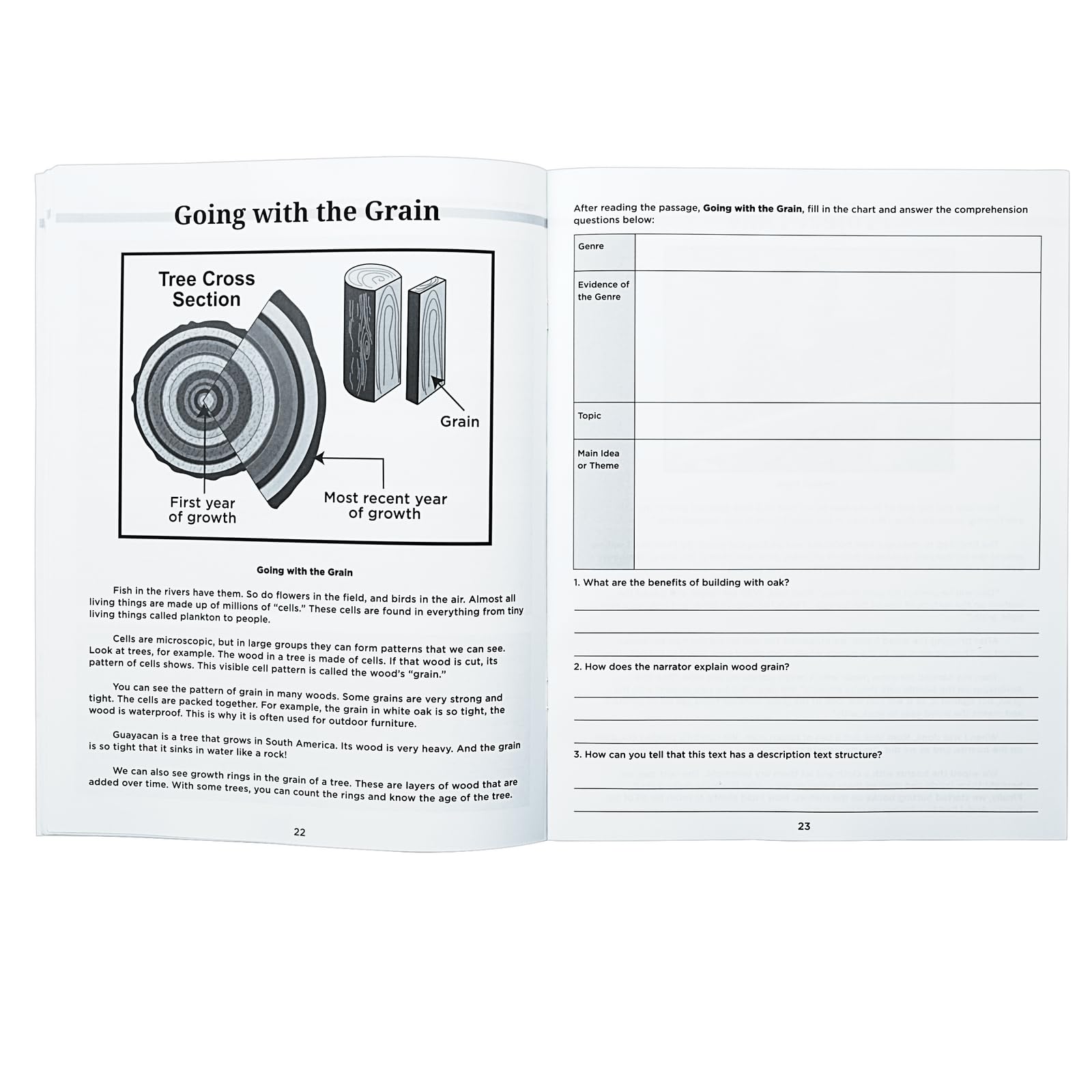 Really Good Stuff Analyzing Text Journals - Set of 12 - Image 4