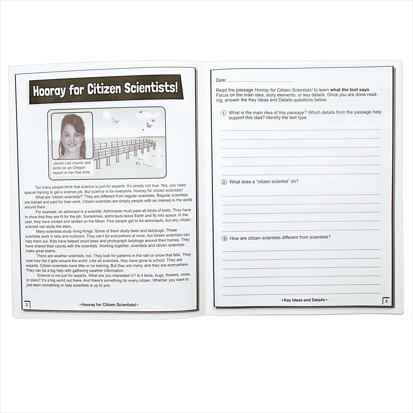 Really Good Stuff Analyzing Text Journals - Set of 12 - Image 5