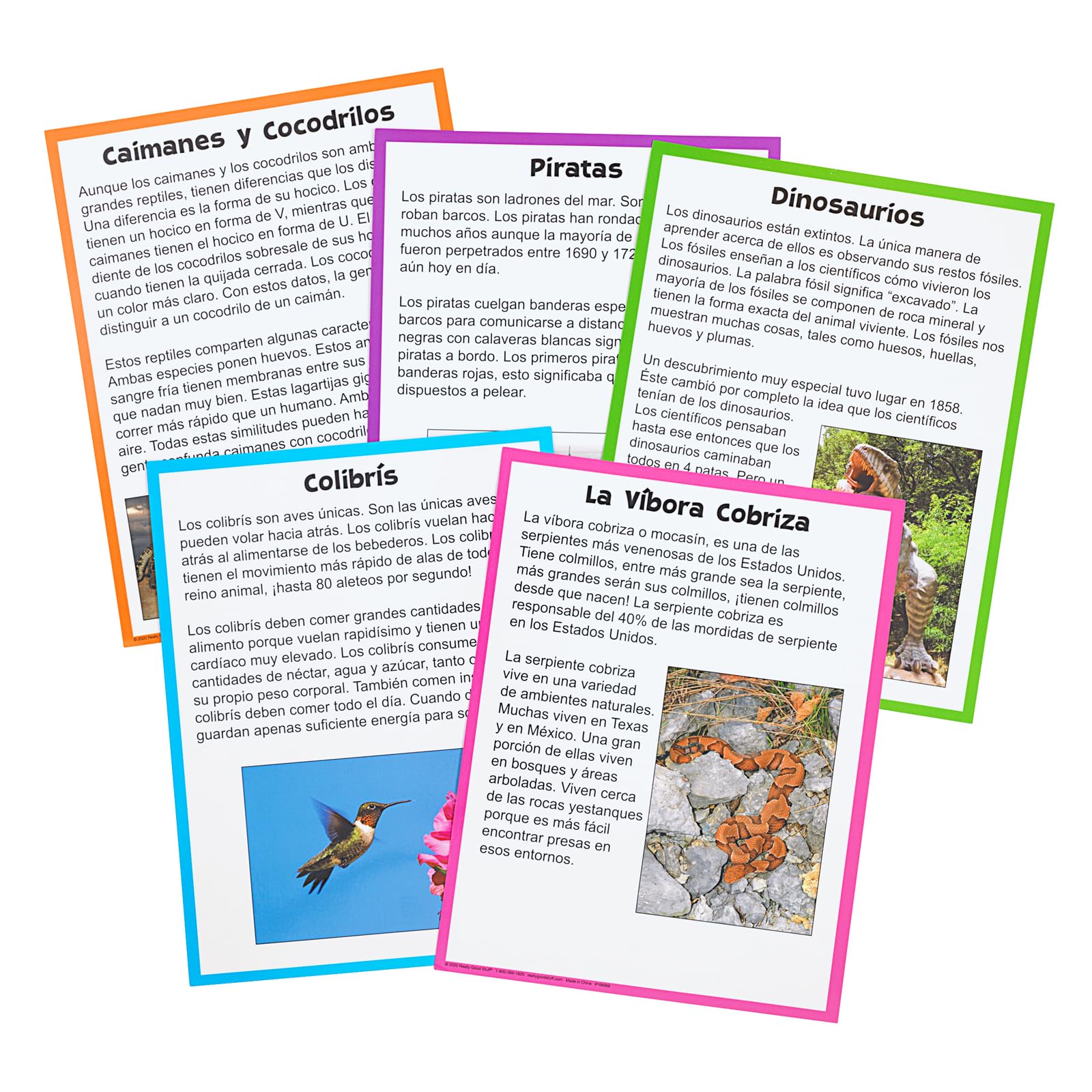 Really Good Stuff Centro de Aprendizaje: Marca la Idea Principal, Nivel 1 (Main Idea Markup Level 1 Literacy - Image 5