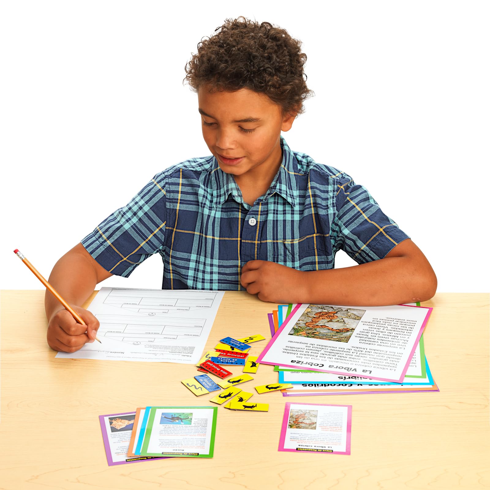 Really Good Stuff Centro de Aprendizaje: Marca la Idea Principal, Nivel 1 (Main Idea Markup Level 1 Literacy - Image 6