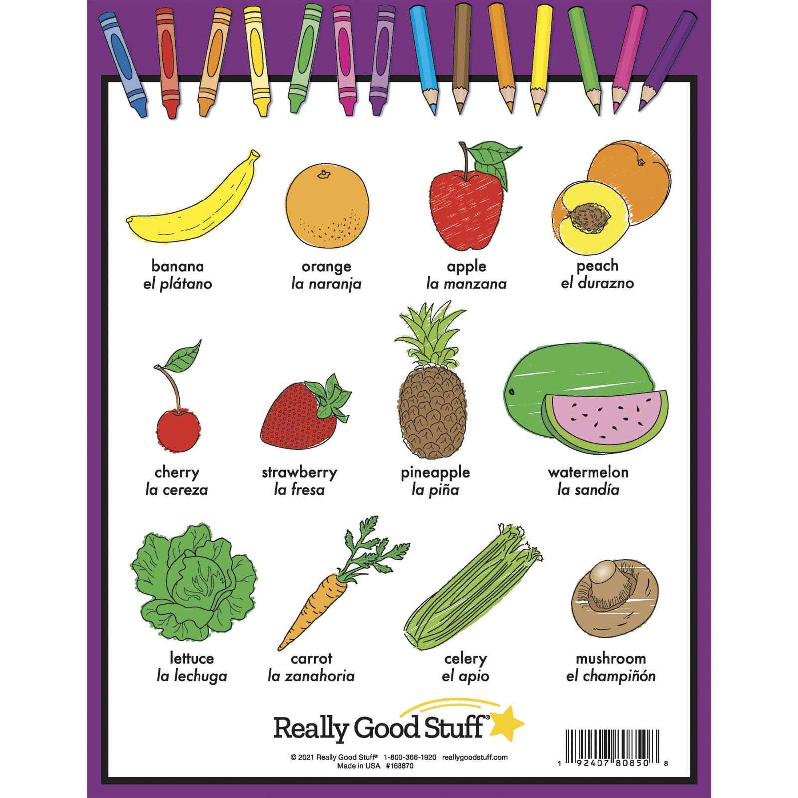 Really Good Stuff Dual Language Themed Picture Dictionary (Lenguaje Dual - Diccionario grafico por temas) - Set of 12 - Image 3