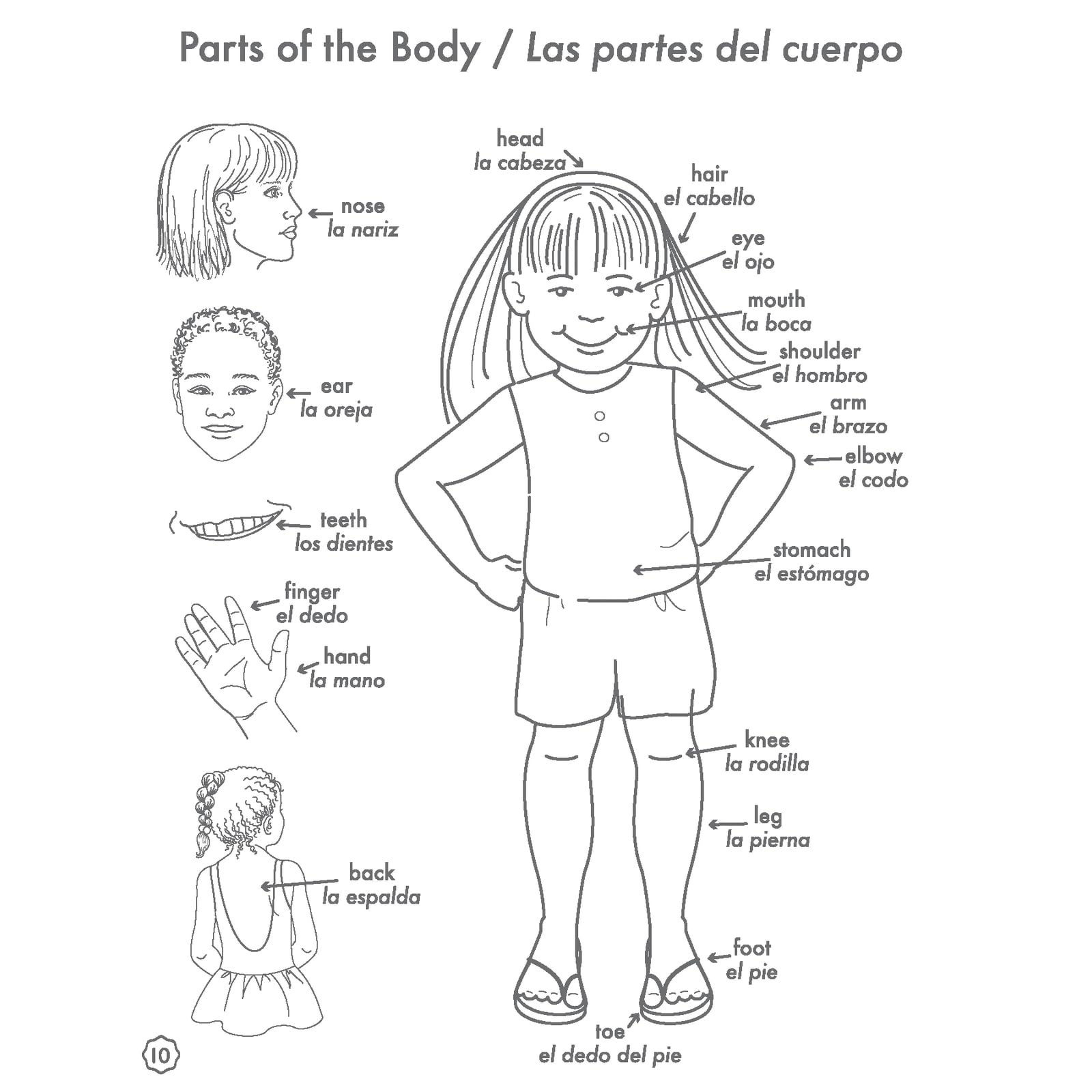 Really Good Stuff Dual Language Themed Picture Dictionary (Lenguaje Dual - Diccionario grafico por temas) - Set of 12 - Image 5
