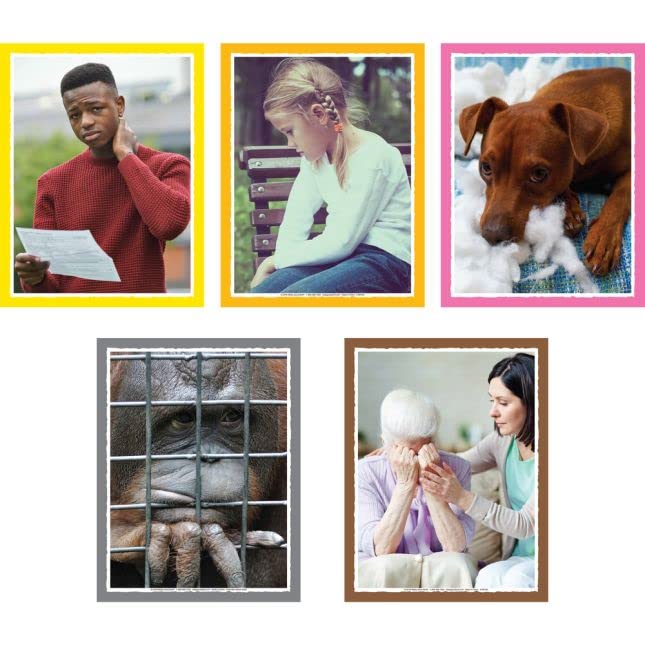 Really Good Stuff Empathy Discussion Card Set for The Classroom, School & Homeschool- Engaging Activity for Kids, Classroom Essentials, Teacher Must Haves - Image 7