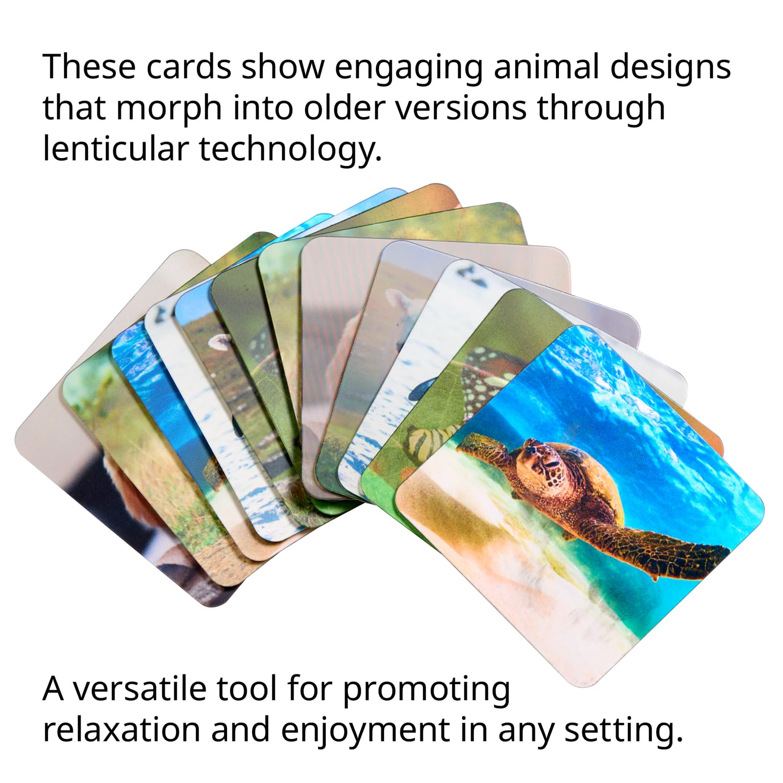 Really Good Stuff Lenticular Cards- Set of 12 - Image 3