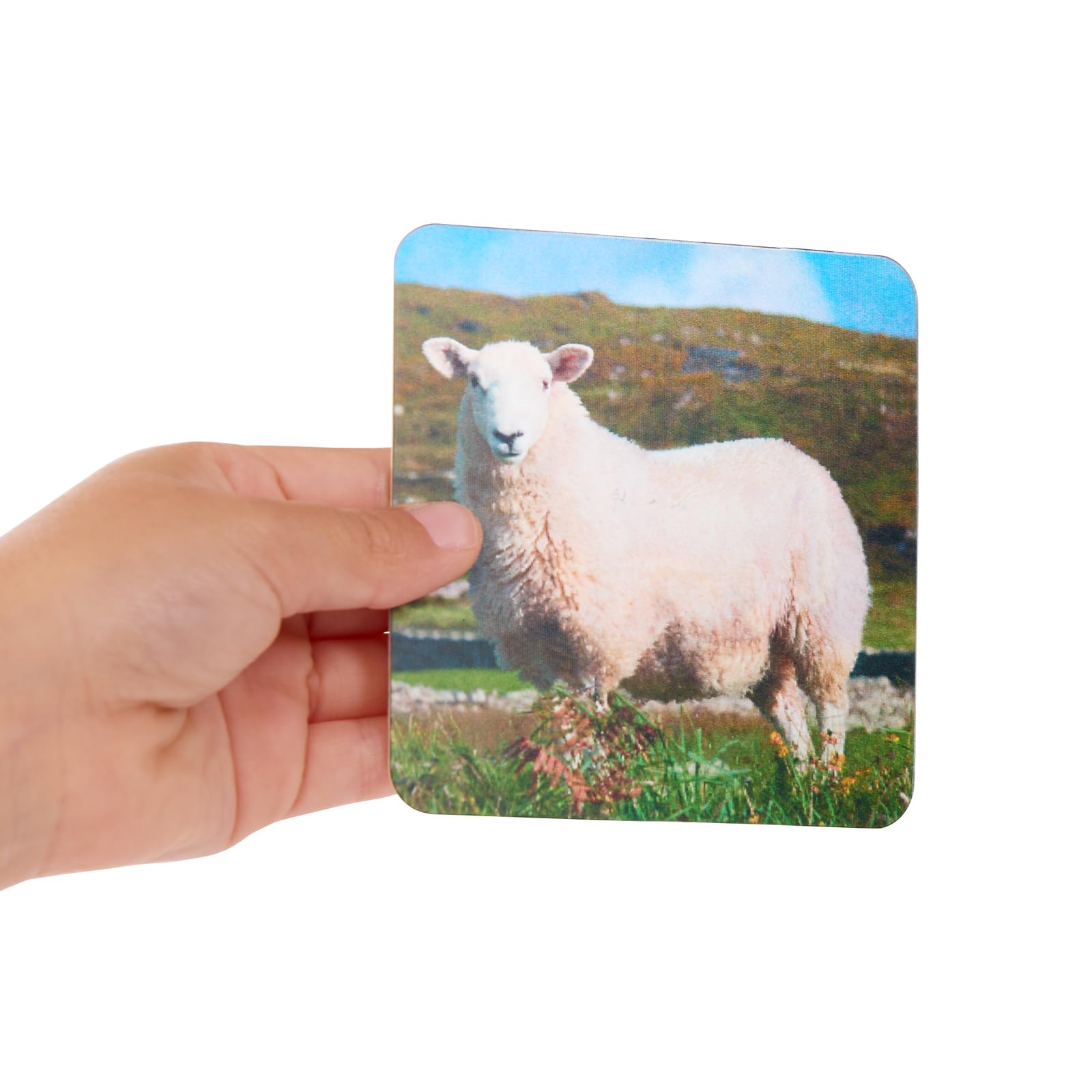 Really Good Stuff Lenticular Cards- Set of 12 - Image 5