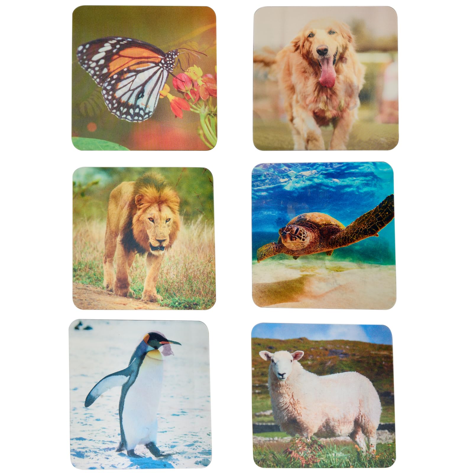 Really Good Stuff Lenticular Cards- Set of 12 - Image 8
