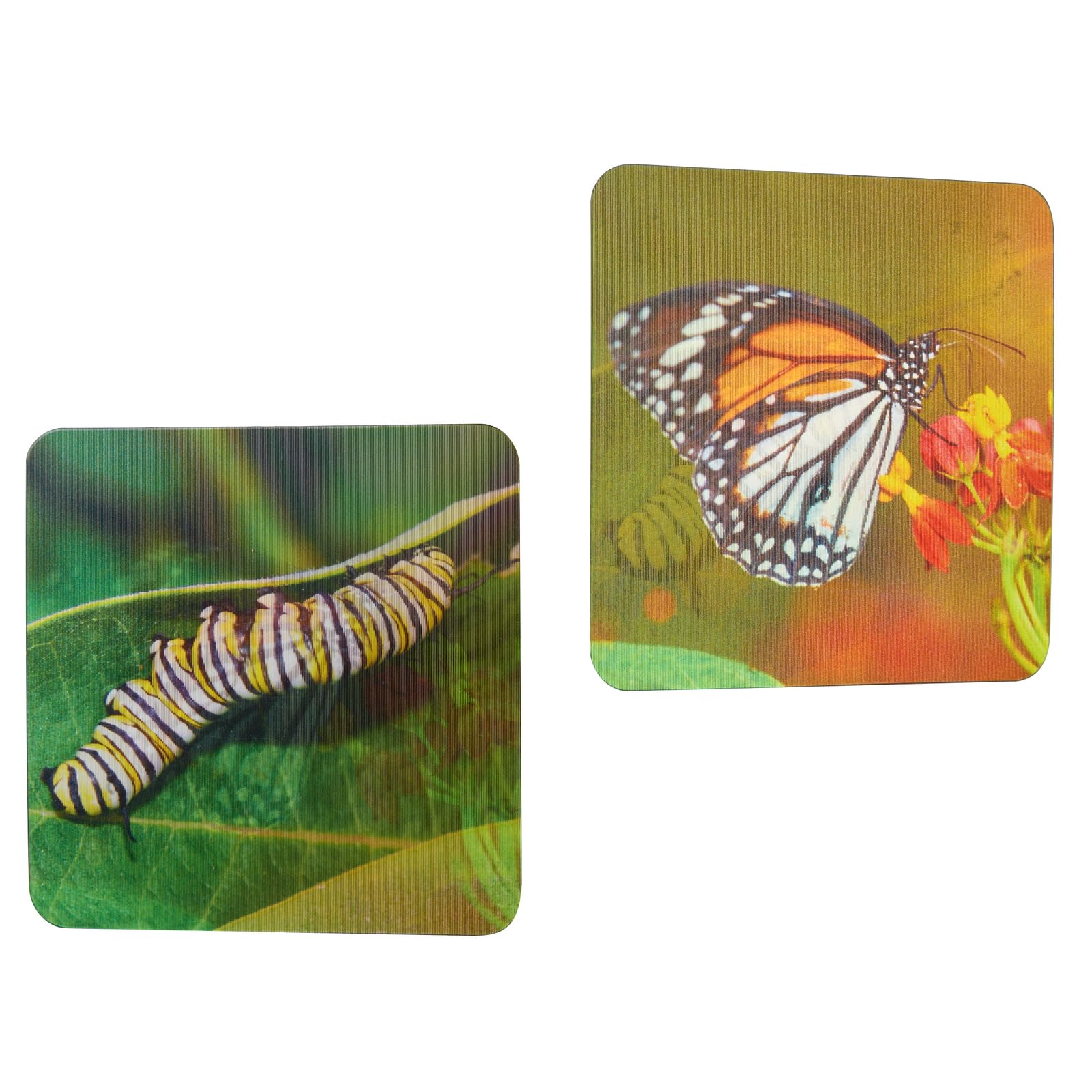 Really Good Stuff Lenticular Cards- Set of 12 - Image 9