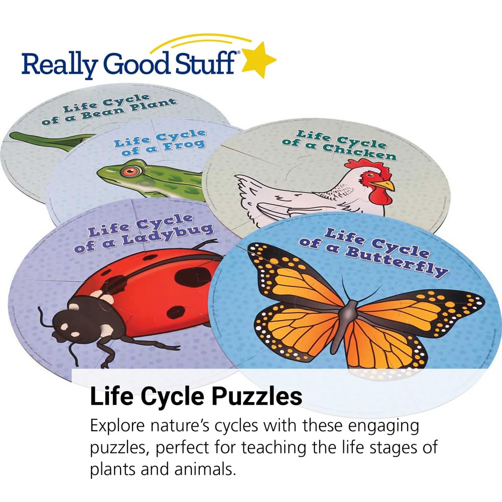 Really Good Stuff Life Cycle Puzzles - 5 Puzzles - Image 3