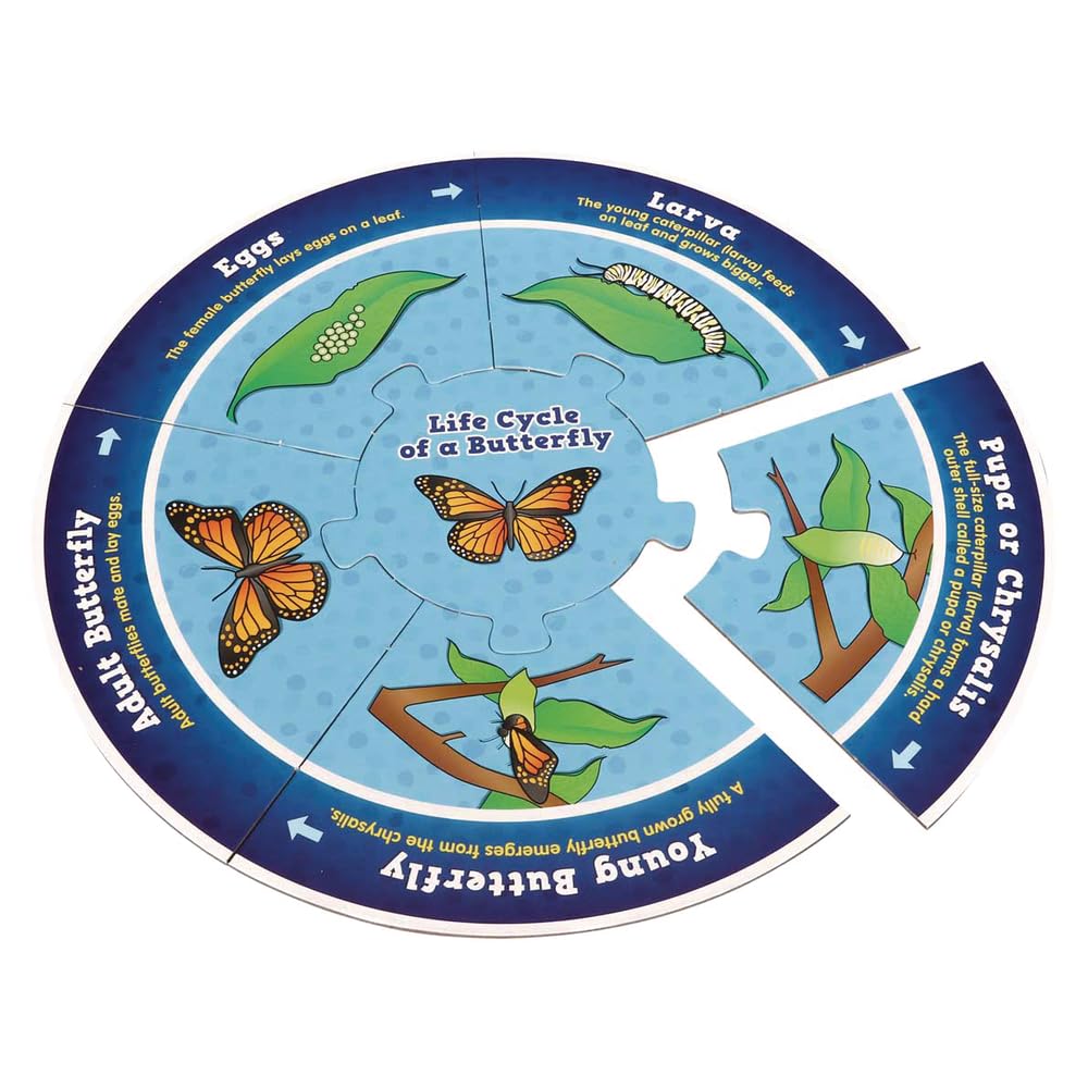 Really Good Stuff Life Cycle Puzzles - 5 Puzzles - Image 7