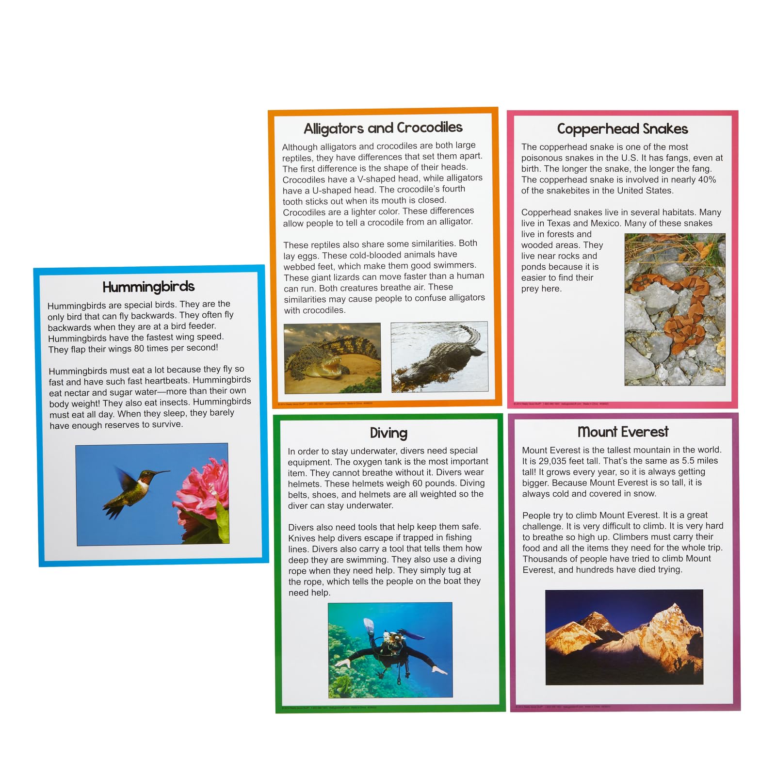 Really Good Stuff Main Idea Markup Level 1 Literacy Center - 1 Literacy Center - Image 4