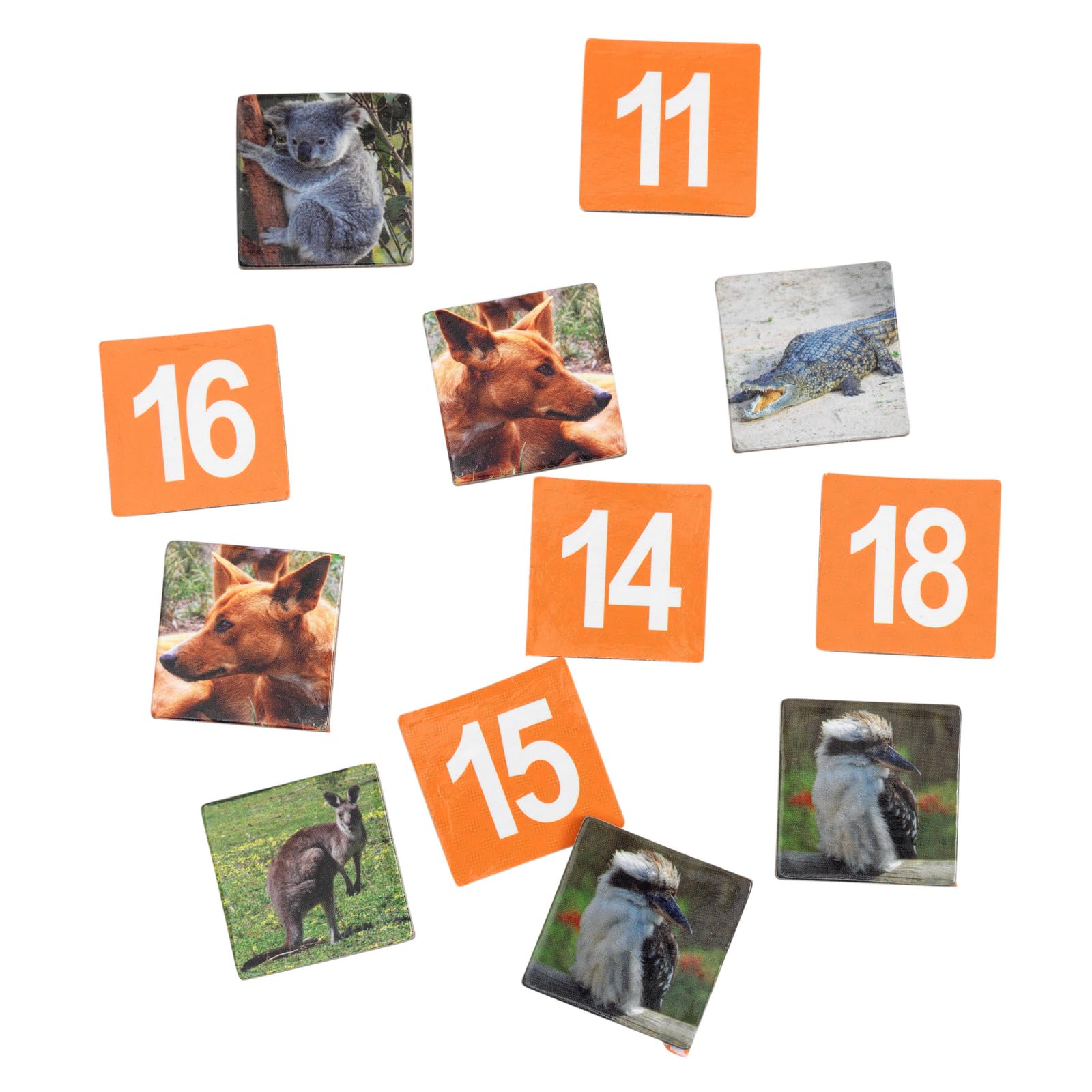 Really Good Stuff Outback Algebra Numeracy Center with Storage Bag - Grab and Go Learning Pack - Reinforce Early Algebra Skills - Grades 4-6 - Image 3
