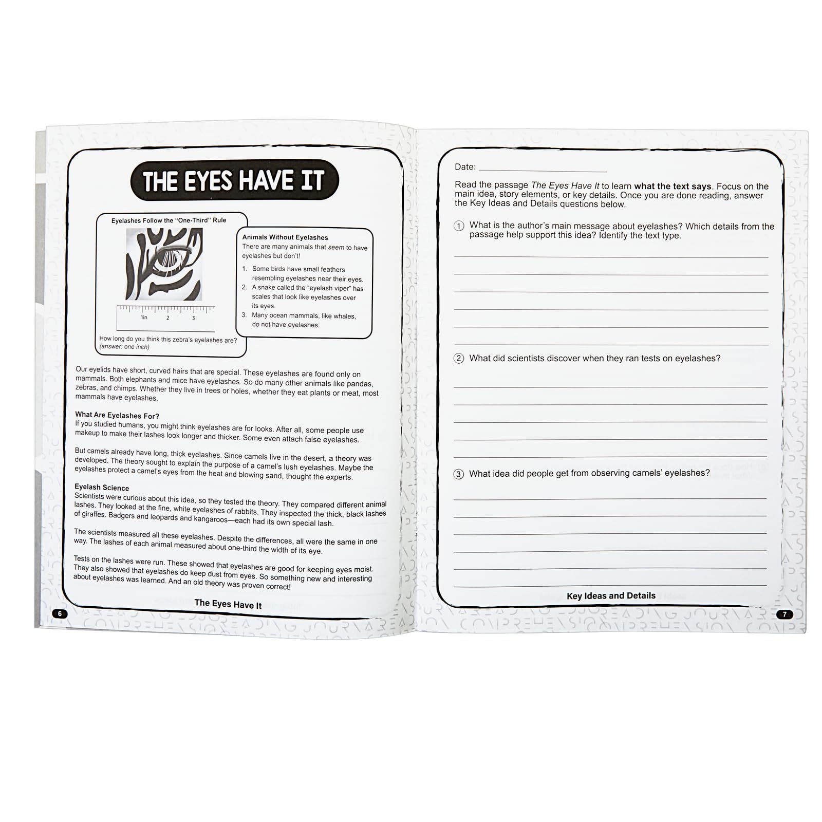 Really Good Stuff Reading Comprehension Journals - Set of 12 - Image 5