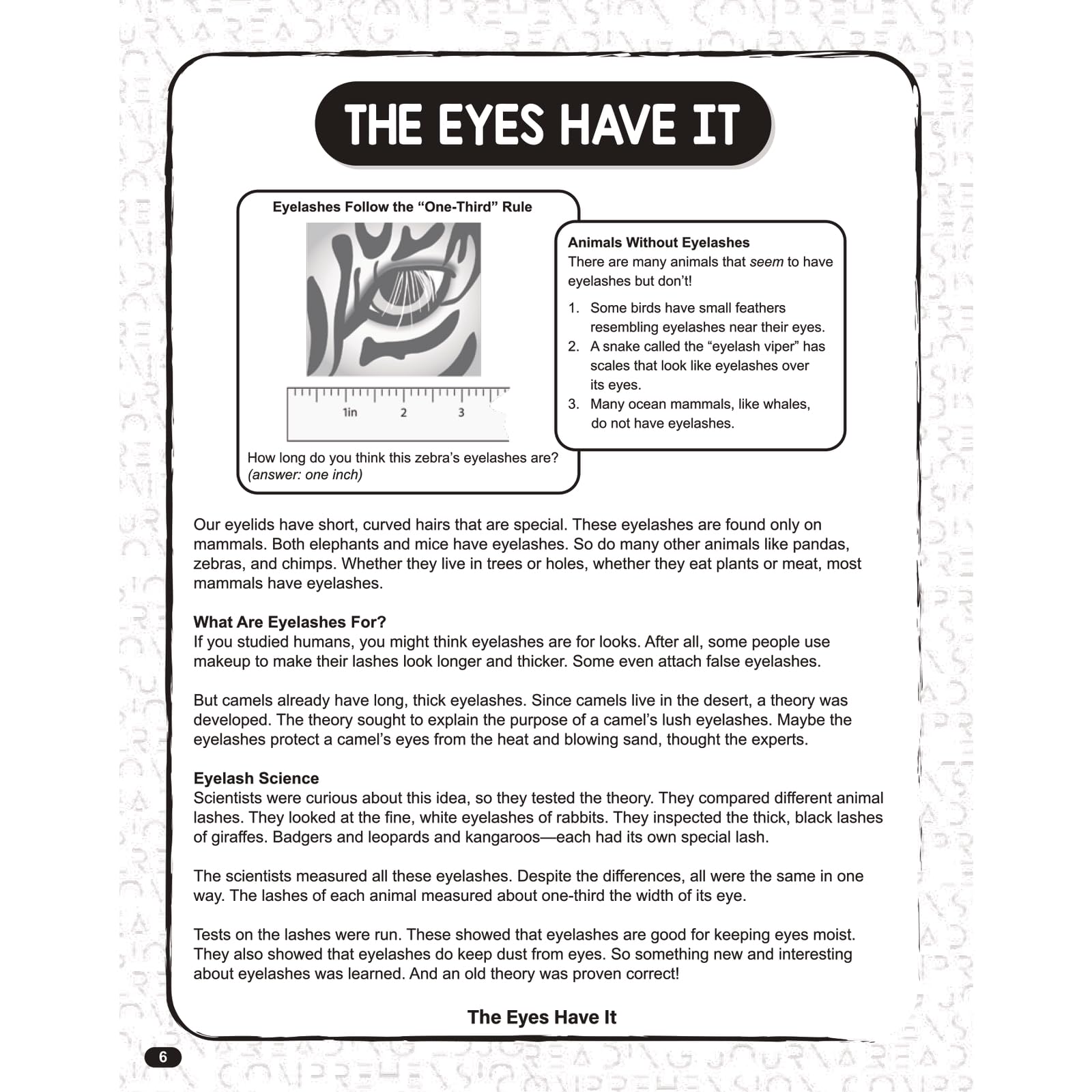 Really Good Stuff Reading Comprehension Journals - Set of 12 - Image 7