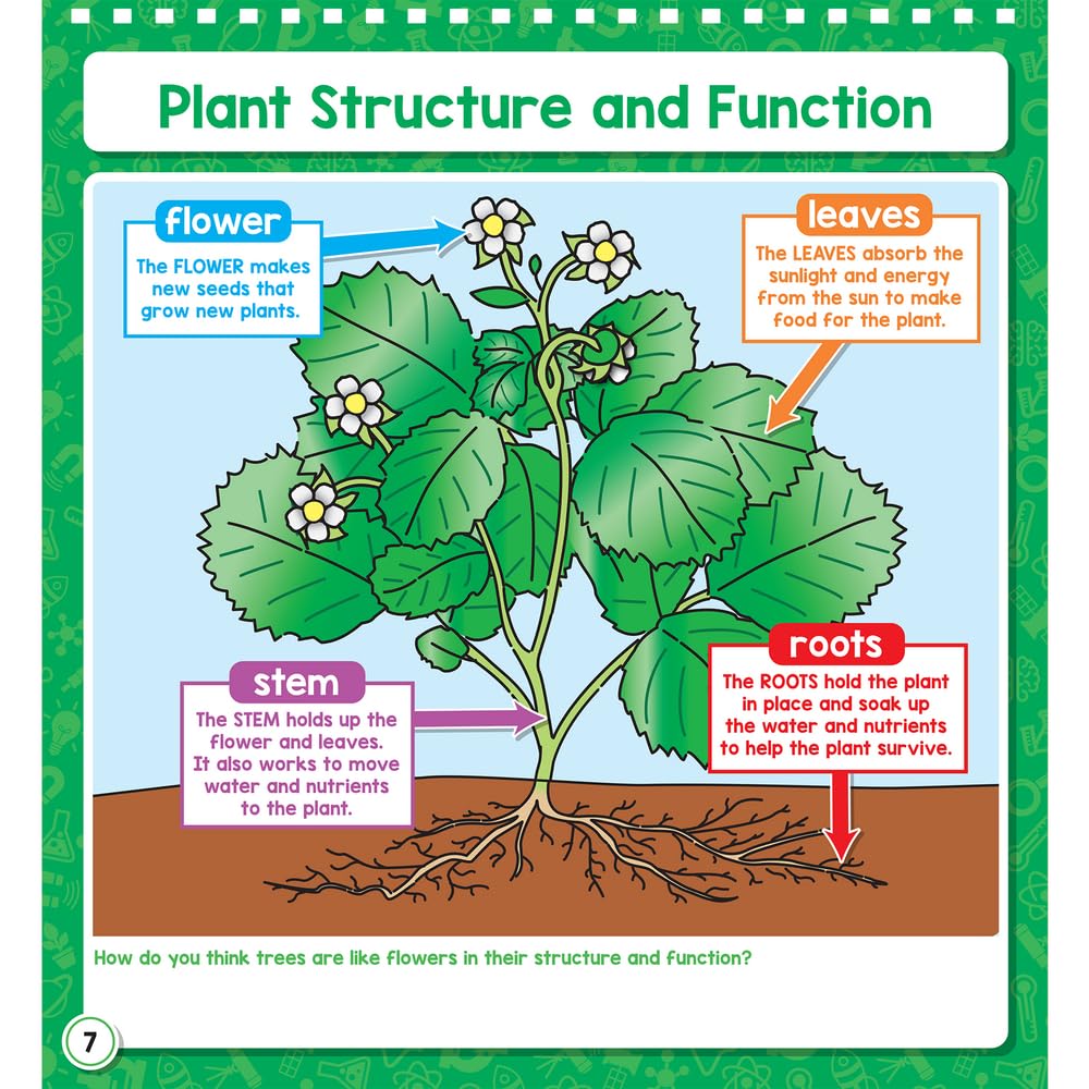 Really Good Stuff Science Flip Chart Primary - Image 6