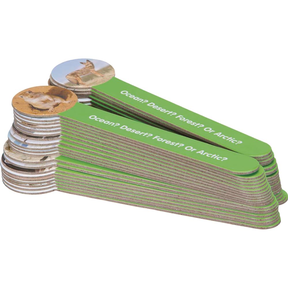 Really Good Stuff Science Sorts Habitats - 40 Sticks with Sorting Box - Image 3