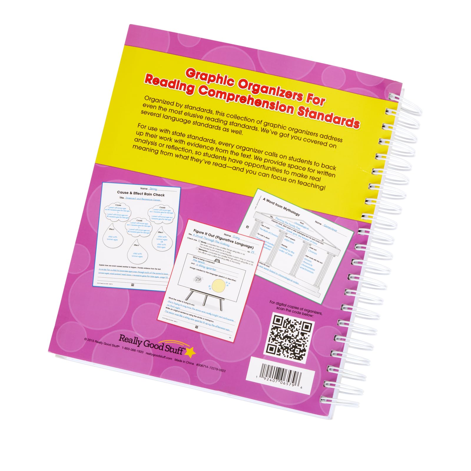 Really Good Stuff Standards-Based Comprehension Graphic Organizers Book and CD - Image 3
