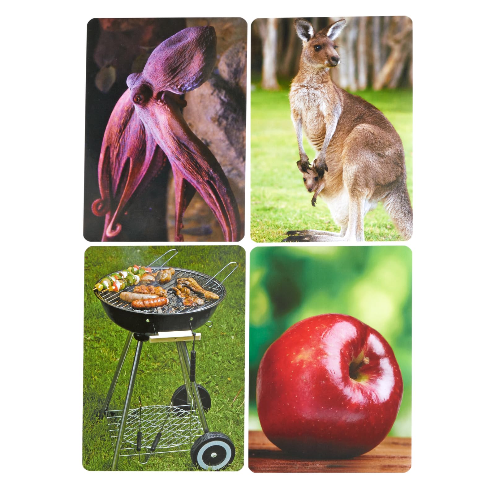 Really Good Stuff Syllable Photo Cards - 48 Cards - Image 4