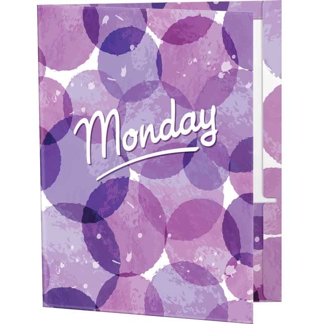 Really Good Stuff The Organized Teacher Folders Set of 10 - Image 4